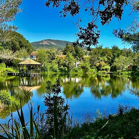 Апартаменты Les Restanques Vue Bastide Rez Jardin 3021
